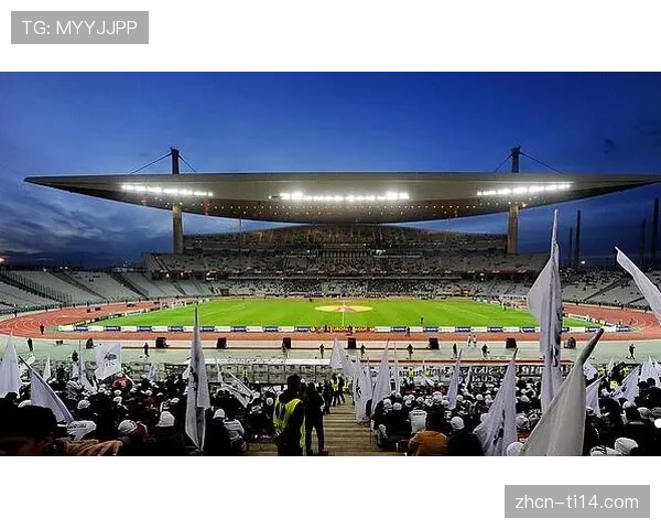 欧足联考察伊斯坦布尔决赛场地，测试草皮与照明系统